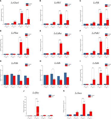 Hypoxia-inducible factor-1α promotes macrophage functional activities in protecting hypoxia-tolerant large yellow croaker (Larimichthys crocea) against Aeromonas hydrophila infection